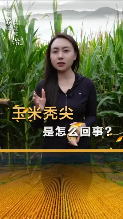 ����ͺ������ô��������#��ũ #����ݪֲ #����ݪֲ���� #�������� #������ũ��