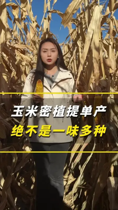 ������ֲ�ᵥ����������һζ����#��ũ #����ݪֲ #����ݪֲ���� #�������� #������ũ��