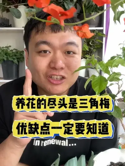 ������ֹ��������÷��������Ҳ��Ҫ֪���� #���� #����С֪ʶ #���� #������ֲ #����