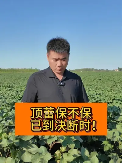 ���ٱ����� �ѵ�����ʱ #��ũ������2025#֧����ũ������ũ���� #������ũ֧����ũ #ݪֲС���� #�½��޻�