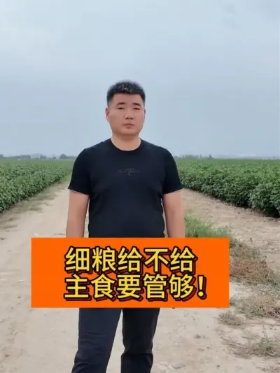 ϸ�������� ��ʳҪ�ܹ��� #��ũ������2025#ݪֲС���� #��ũݪֲ #������ũ֧����ũ #����ũҵ֪ʶ��ũ����������