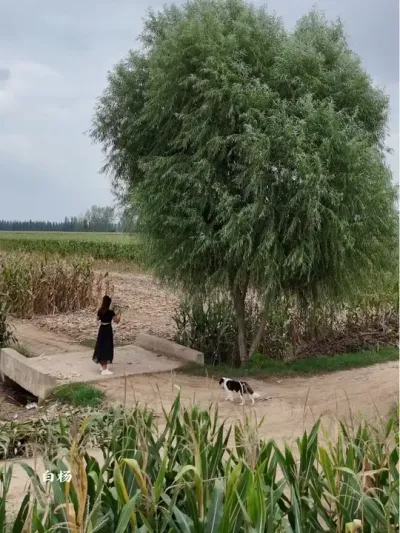 ���ڼ����·����ĺ���ʵ�����ָ�������᲻����������ÿһ�λ��ϼң������˭�˼ң�������һ������#�ҵ��������� #ͯ���Ӱ�� #���Ӱ�� #�����ԭ����