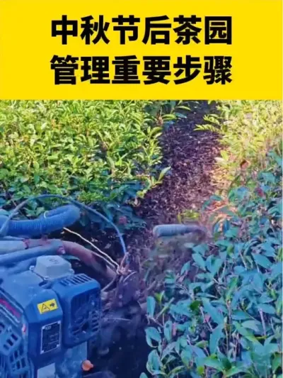 ����ں��԰��������Ҫ�취������������#����