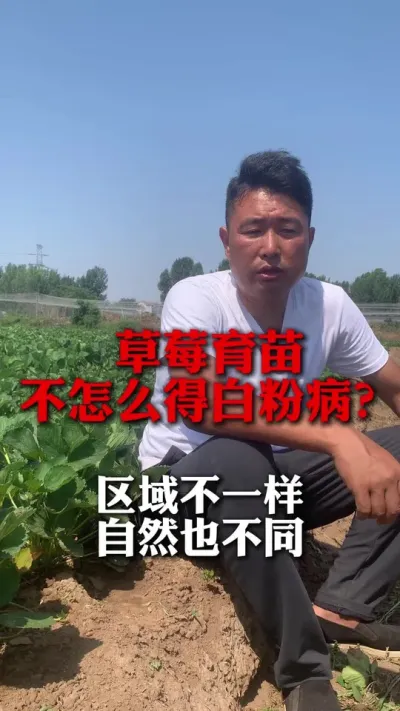 ��ݮ���粻�ð׷۲���#��ݮݪֲ #��ݮ���� #��ݮݪֲ���� #��ũ������ #����ũҵ֪ʶ��ũ����������