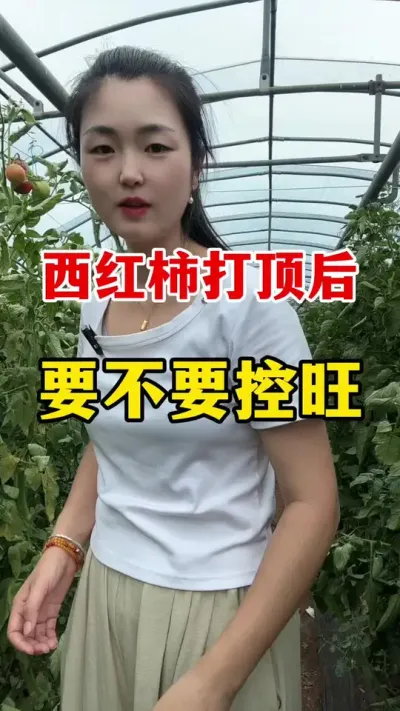 ���������Ժ�Ӧ������������ #������ݪֲ #������ݪֲ����