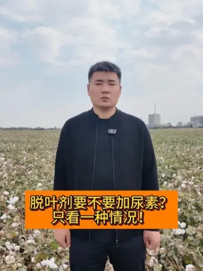 ��Ҷ��Ҫ��Ҫ�������� ֻ��һ�����Σ� #��ũ������2025#ݪֲС���� #ũҵݪֲ #����  #�½��޻�