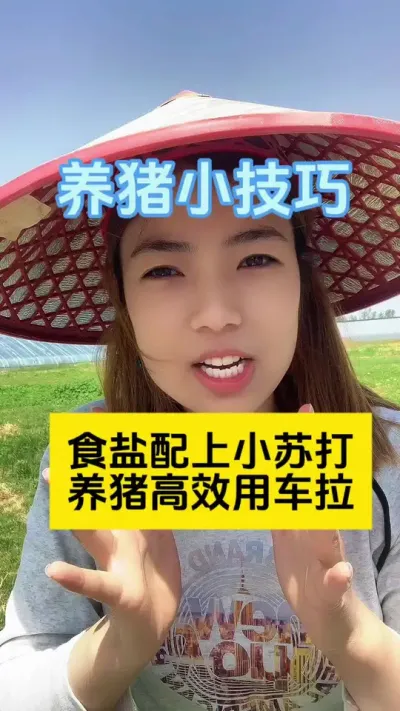 #养猪 #养猪人 #养猪知识 #养猪小妙招