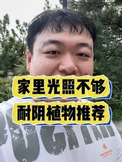 �����������ղ������������Ƽ�����������ֲ���� #���� #����С֪ʶ #���� #������ֲ #����