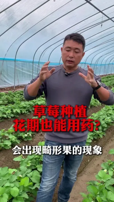 Ҳҩ#ݮݪֲ #ݮ #ݮݪֲ #ũҵ֪ʶũ #ũ