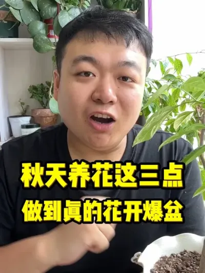 ������������������������ĺܿ�Ứ�������� #���� #����С֪ʶ #���� #������ֲ #����