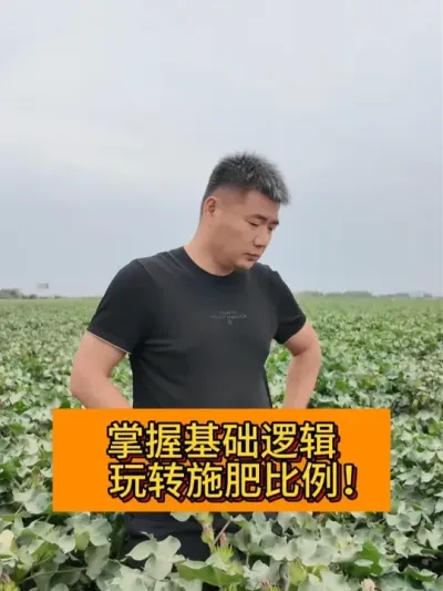 ���ջ����߼� ��תʩ�ʱ��� #��ũ������2025#ݪֲС���� #��ũݪֲ #������ũ֧����ũ #֧����ũ������ũ����