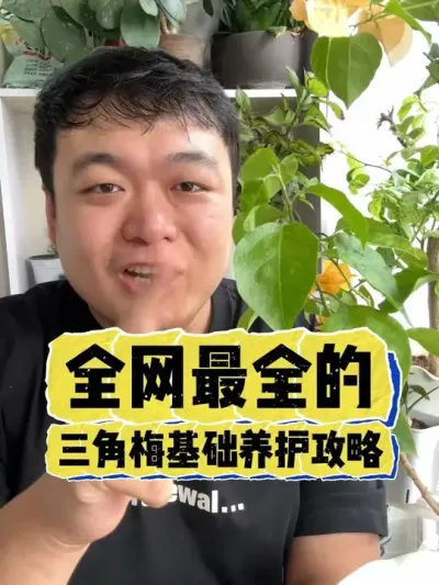 ȫ����ȫ��������÷�������������� #���� #����С֪ʶ #���� #������ֲ #����÷