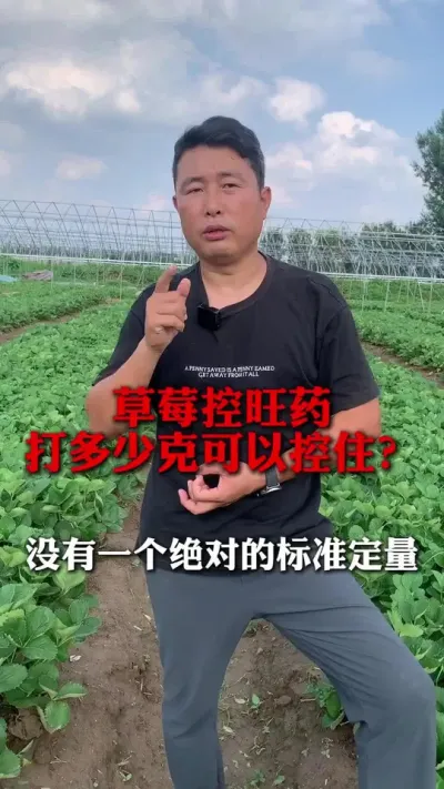 û��һ�����Եı�׼����#��ݮݪֲ #��ݮݪֲ���� #��ݮ���� #��ũ������ #����ũҵ֪ʶ��ũ����������