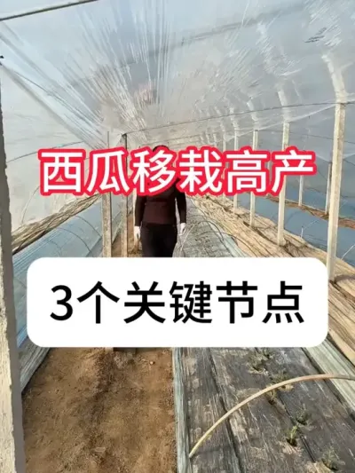 ���������Ժ����������� �������Ժ�����ƻ�#��ũ #���� #���溦���� #������ũ��ũ #����ݪֲ