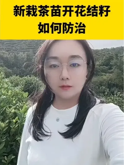 ���Բ�������Ԥ���Ż�����#����