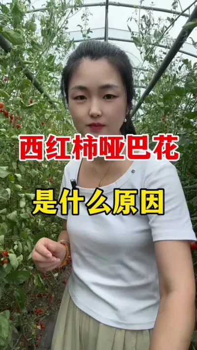 ���������ưͻ���������ô������ #������ݪֲ #������ݪֲ����