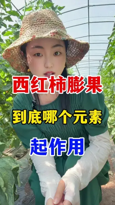 ����������ڷ�ù�ĸ�Ԫ���������� #������ݪֲ #������ݪֲ����