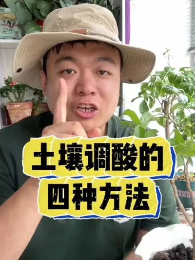 �����������������Ҫ���������㶼֪������#���� #����С֪ʶ #���� #������ֲ #����