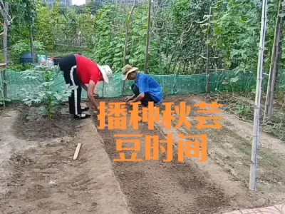 ������ܿ�������ʱ�估ע������#��ܿ��