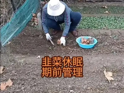 �²����ڹ�������Ҫ#�²�