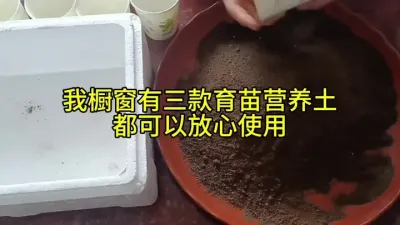 �Ӵ�ѡ��ѿ��������Ӫ����#�������