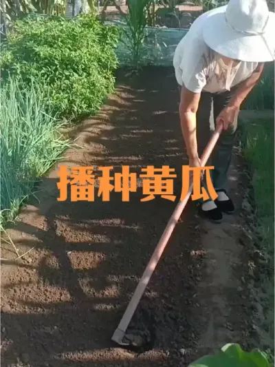 ���������＾�ƹ�#�ƹ�