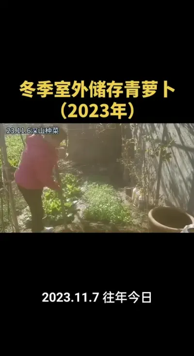 ����¶���������ܲ���Ҫ�죨2023�꣩