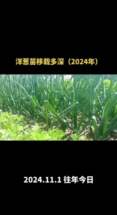 ���������������