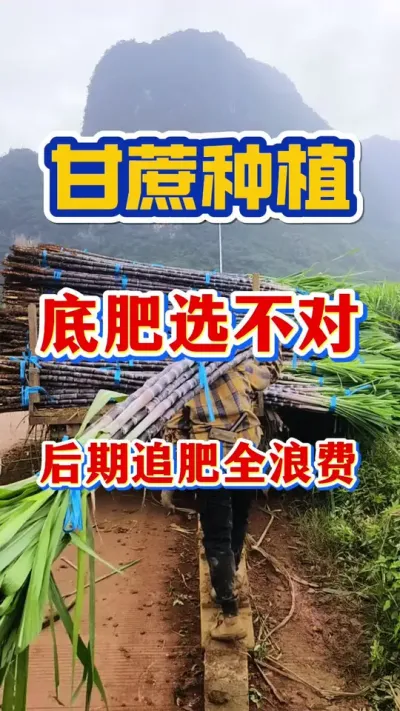 ����׷�ѡ���������׷��ȫ���������ǰ˳����綼�ô��˵׷�#����ݪֲ#����ʩ��#����