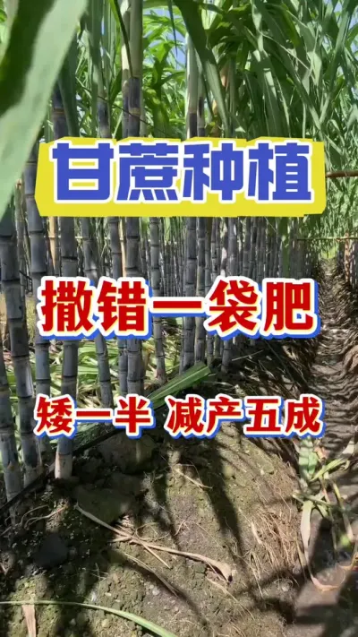 ����ν���ע����������һ���������ᰫ��ء��������#����ݪֲ#����ν�#����