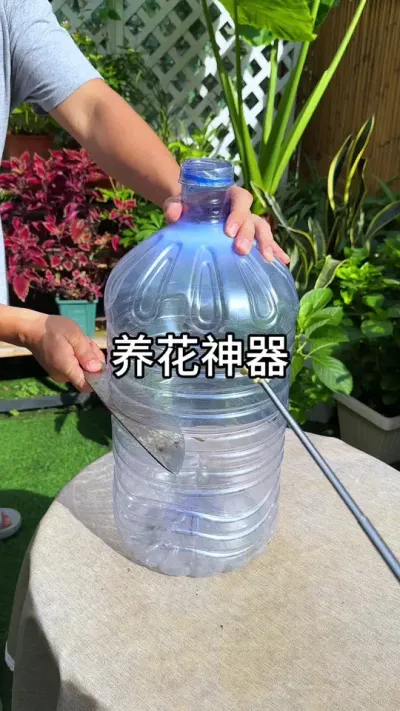 ��ȪˮͰ������������  #������ֲ #����С֪ʶ