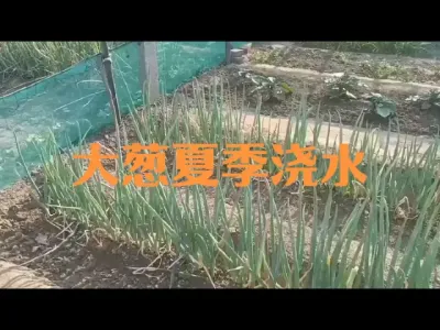 ������ո��¼���������ˮ#���