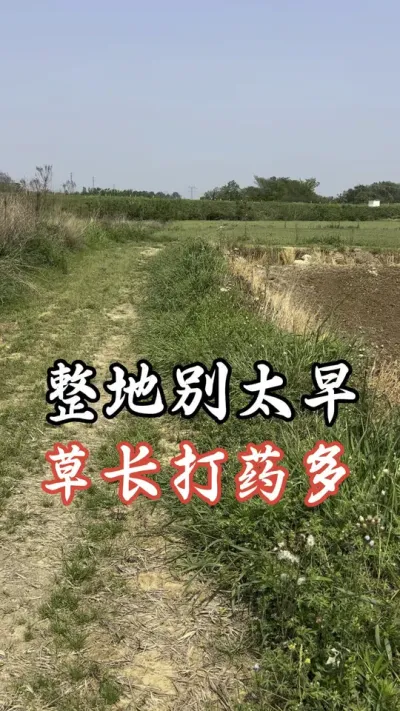 整地还得懒一点，👻#分享农业知识帮农民增产增收 #老百姓关心的话题