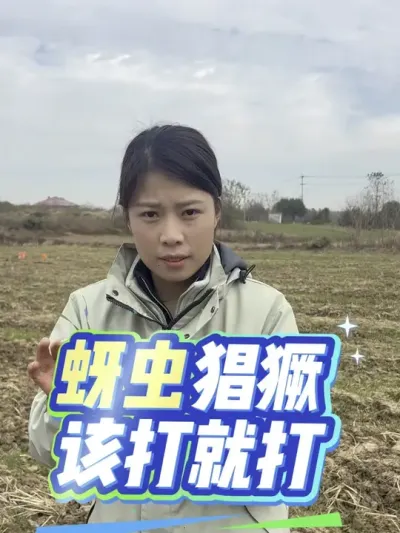 ����̫���Ҫ����ѡ�Լƻ��ۺϷ���#����ũҵ֪ʶ��ũ���������� #�����������Ļ���