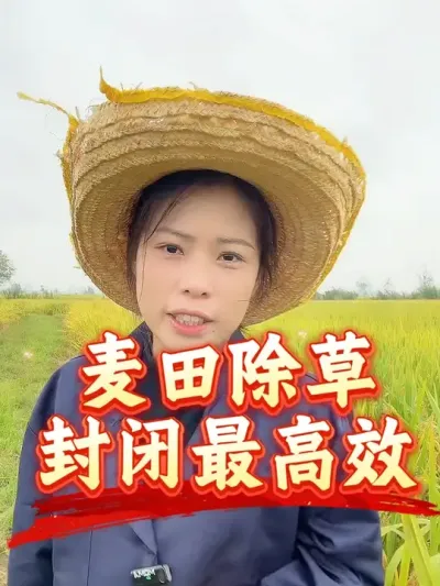 ����������ر����Ч#С��رճ��ݼ� #�����������Ļ���