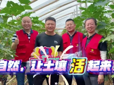 ����ɬС������֭�����������Ѽ��µľ����õ�ɶ�ڿƼ�#����Ȼ��������������