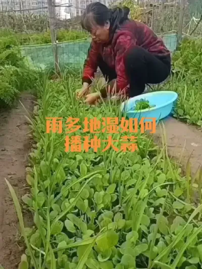 ��������ʪ�������ִ���#����