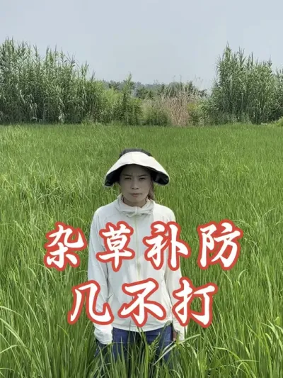 �Ӳݲ������м�������#����ũҵ֪ʶ��ũ���������� #�����������Ļ���