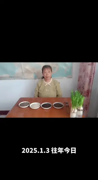 ������������Ӫ������2025�꣩