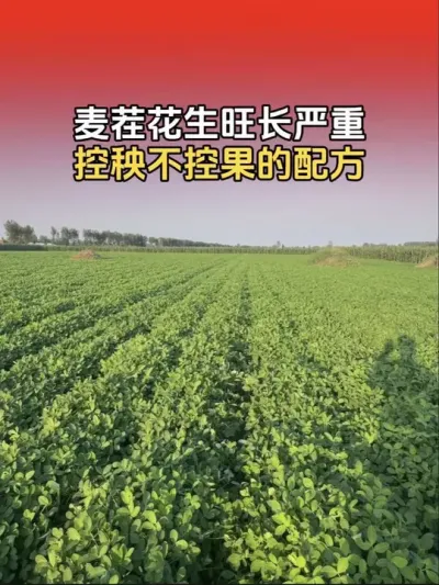 ��绨������ˮ�����������������ع����䷽��#�����߲� #�����߲�ݪֲ #����ݪֲ #����ݪֲ�������� #����ũҵ֪ʶ��ũ����������