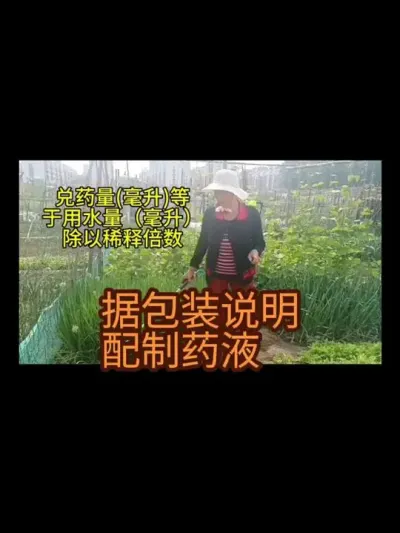 ����ƾ֤��װ��˵������ҩҺ