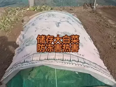 ������ȷ������Ԥ�����������Ⱥ�