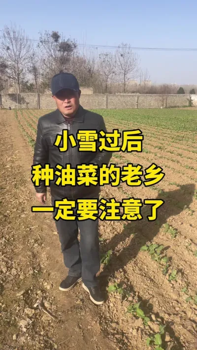 #�Ͳ�ݪֲ #�Ͳ�ݪֲ���� #�Ͳ˸߲� #�Ͳ�����