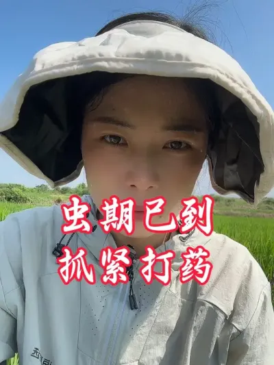 ����ⱨ�����ѳ��������˿��Բο�#����ũҵ֪ʶ��ũ���������� #�����������Ļ���