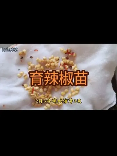 �������ٴ��������������Ƶ#��������