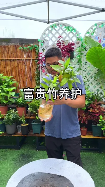 �������������� #������ֲ #����