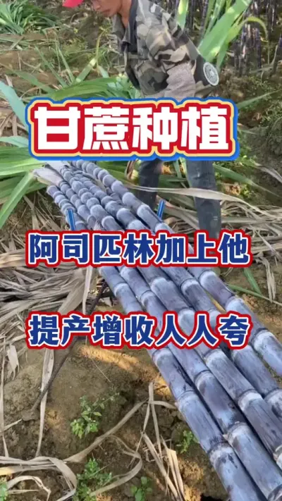 �ָ�������˾ƥ�ּ�һ����������յ���ס#����ݪֲ#�������#����׷�