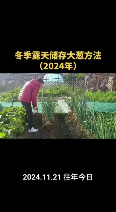 ����¶��������Ҫ�죨2024�꣩