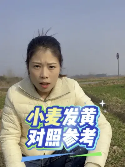 С�󷢻�Ե��ԭ���ܽ����������#����ũҵ֪ʶ��ũ����������#�����������Ļ���