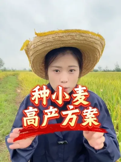 С����߲�������Ҫ������������׷ʴ���Ч�������#����ũҵ֪ʶ��ũ���������� #�����������Ļ��� #С�󵹷�